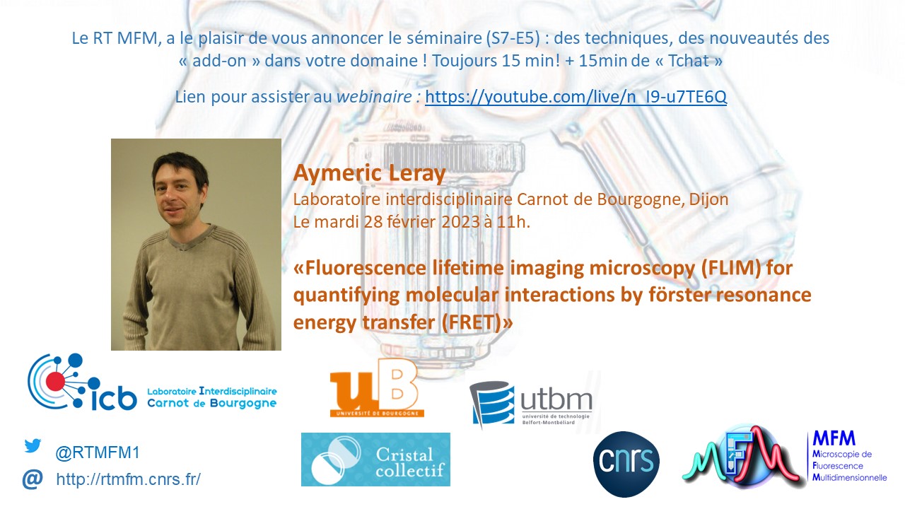 Webinaire du RTmfm : “Fluorescence lifetime imaging microscopy (FLIM) for quantifying molecular interactions by förster resonance energy transfer (FRET)”